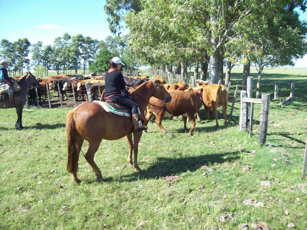 Estancia Turistica La Amorosa トリニダ 部屋 写真
